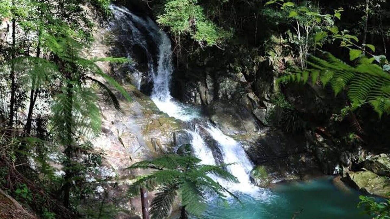 Photo of Outdoor in Banora Point