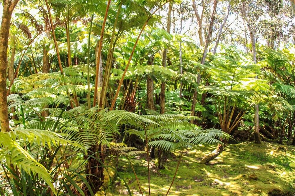 Photo of Outdoor in Volcano