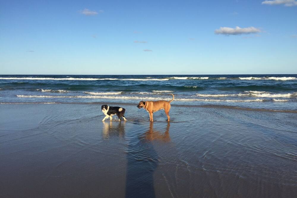 Photo of Others in South Golden Beach