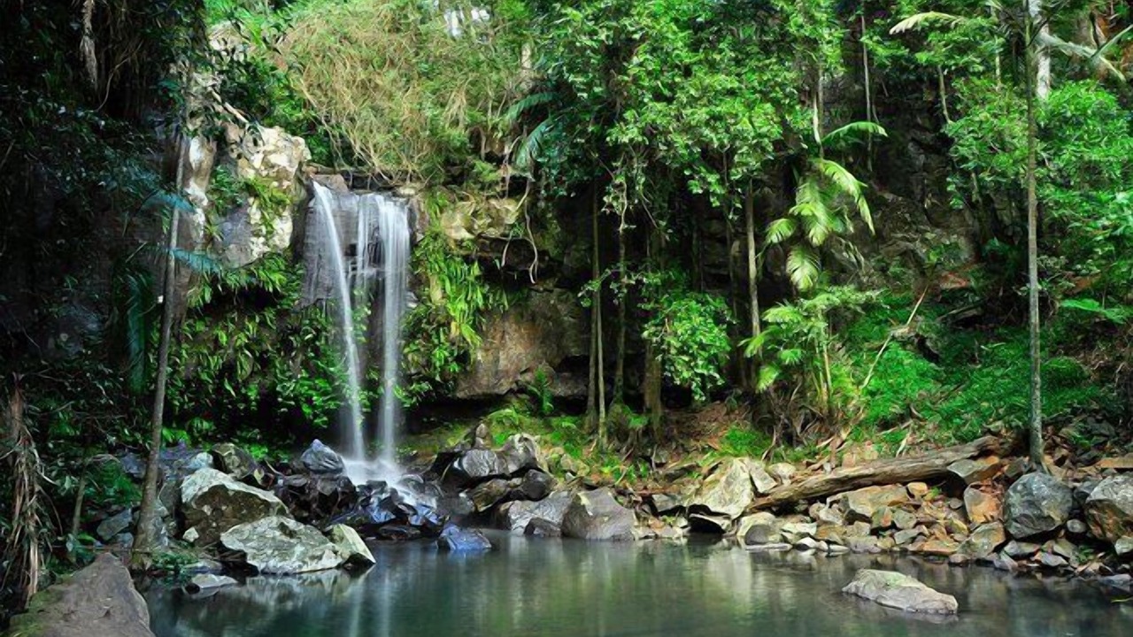 Photo of Others in North Tamborine