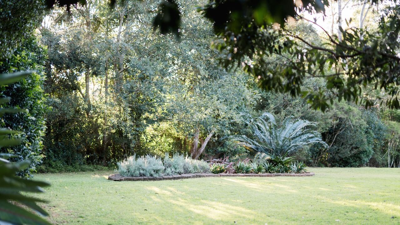 Photo of Outdoor in North Tamborine