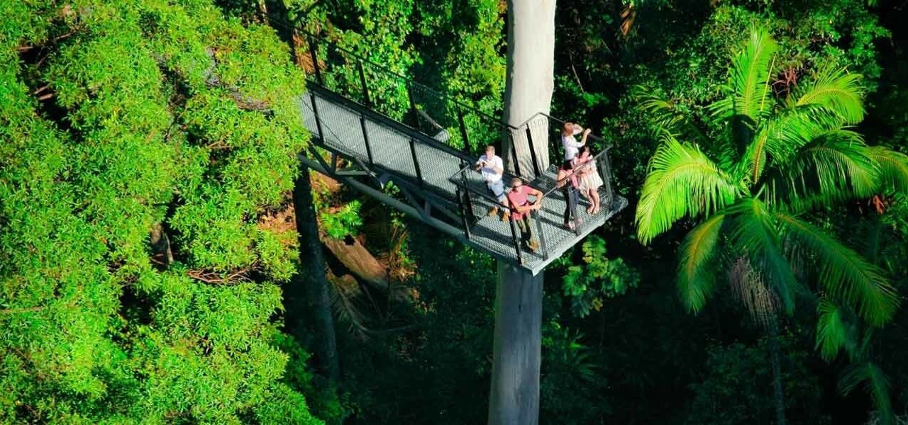 Photo of Others in North Tamborine