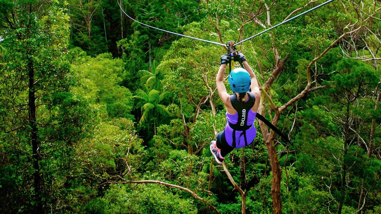 Photo of Others in North Tamborine