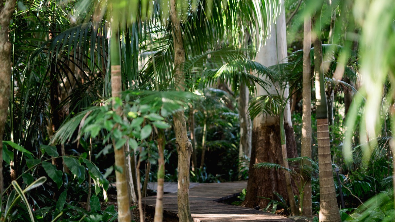Photo of Outdoor in North Tamborine