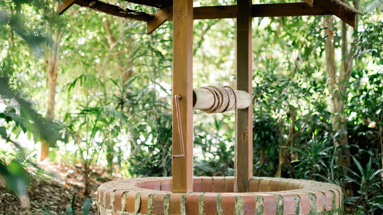 Photo of Outdoor in North Tamborine