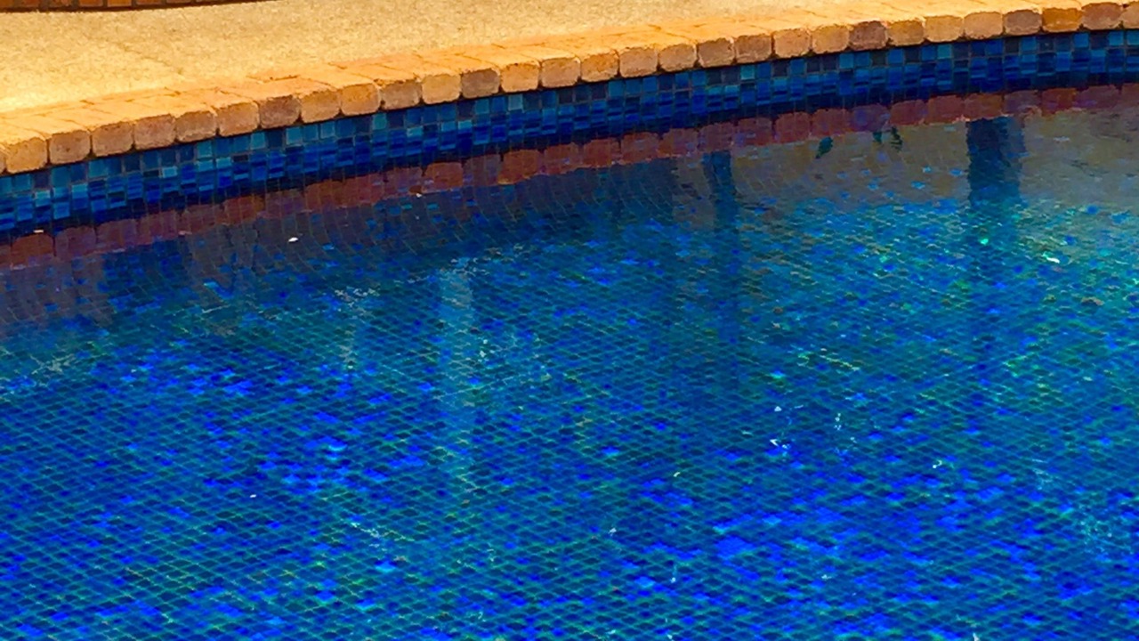 Photo of Outdoor in South Toowoomba
