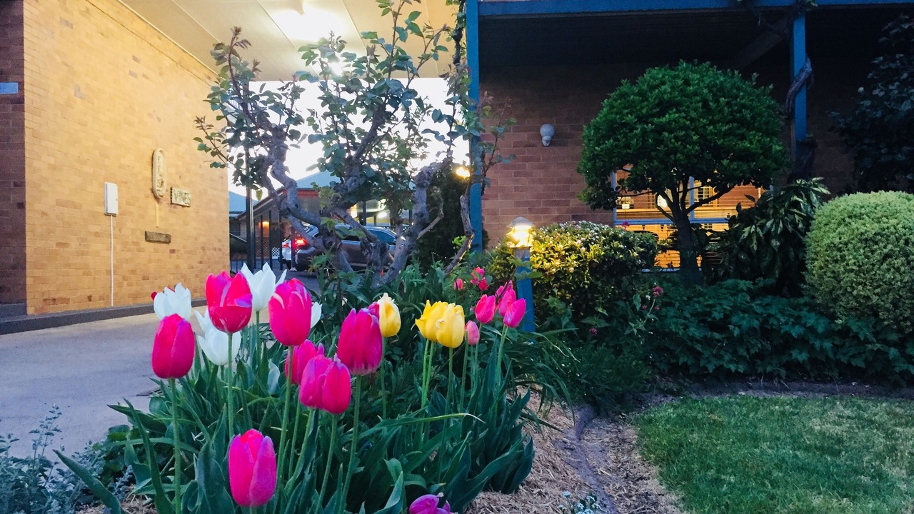 Photo of Outdoor in Stanthorpe