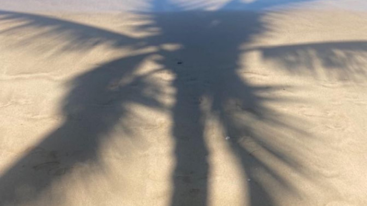 Photo of Others in Kihei
