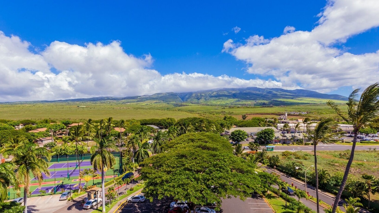 Photo of Others in Honokowai
