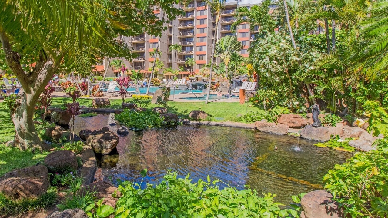 Photo of Outdoor in Honokowai