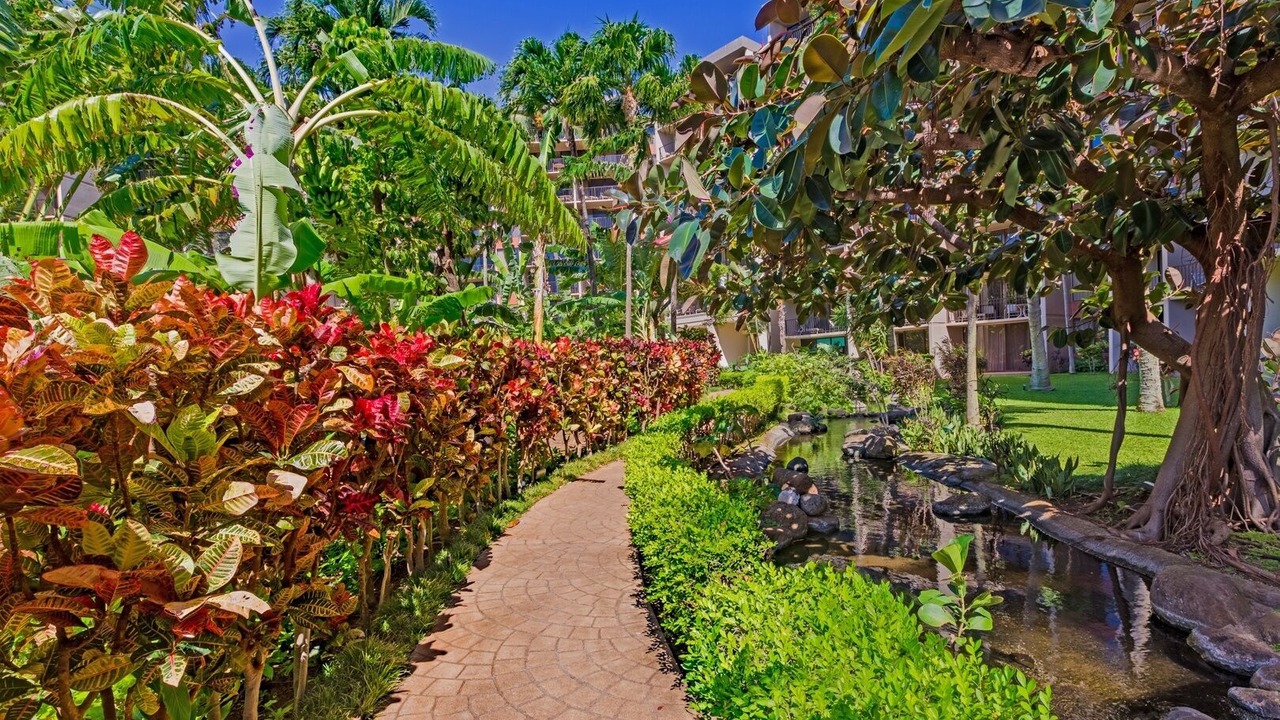 Photo of Others in Honokowai