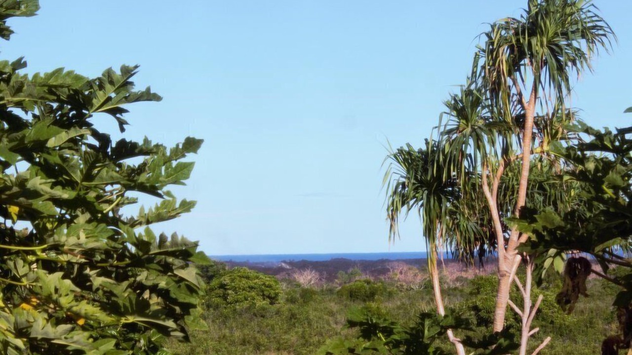 Photo of Others in Kapoho