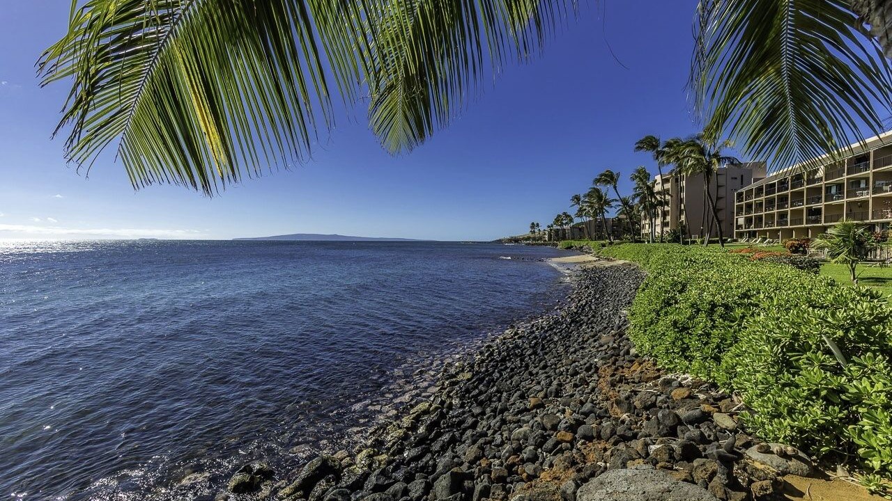 Photo of Others in Maalaea