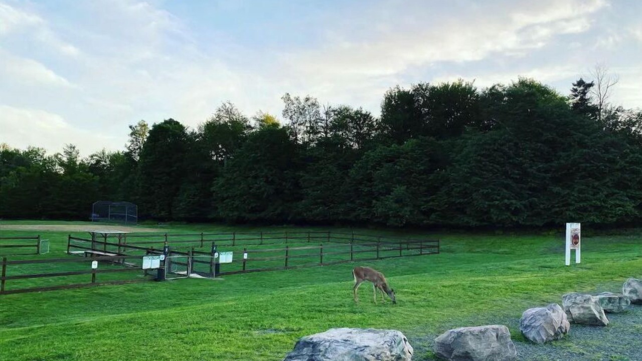 Photo of Others in Tobyhanna