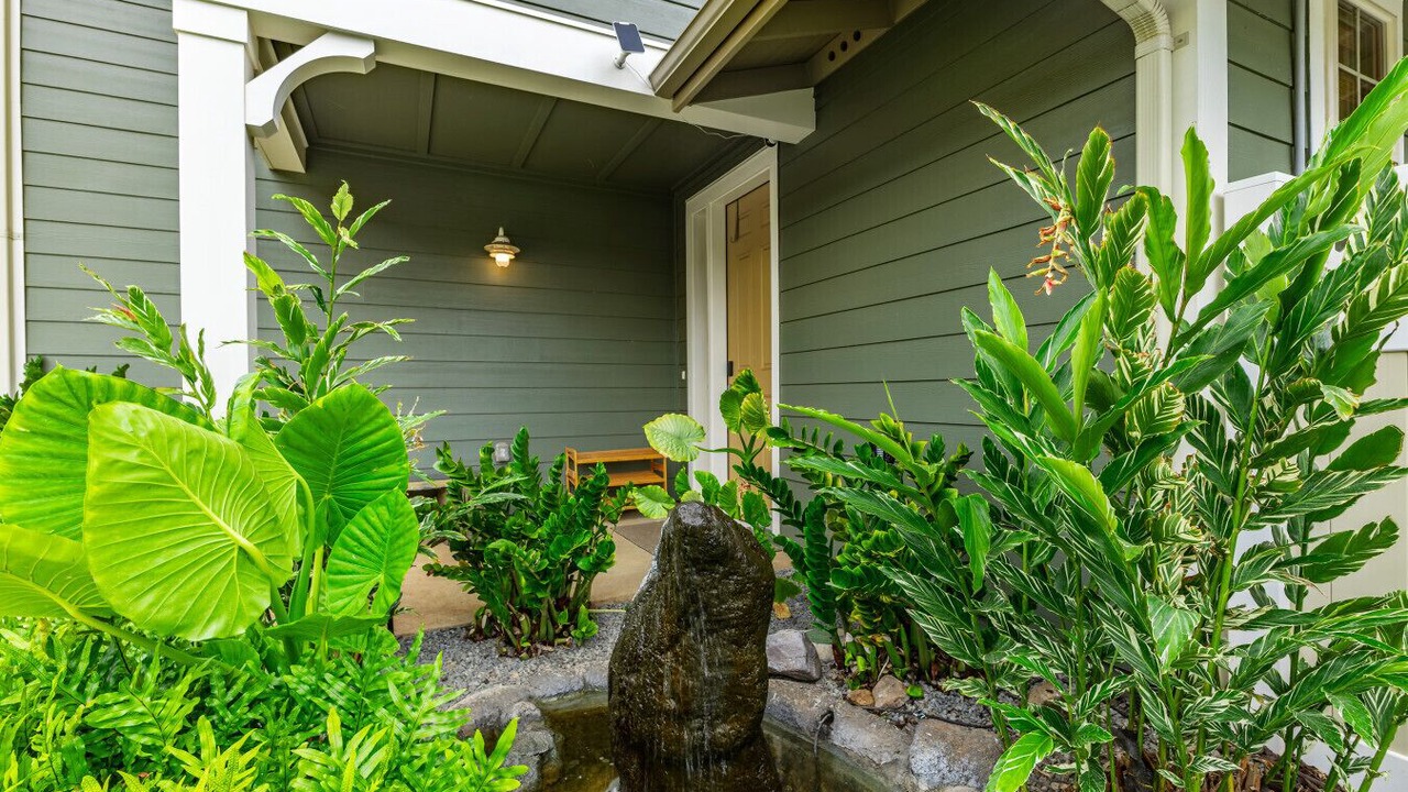 Photo of Outdoor in Makaha Valley