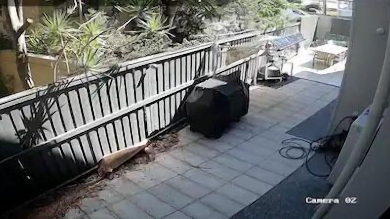 Photo of Outdoor in Surfers Paradise
