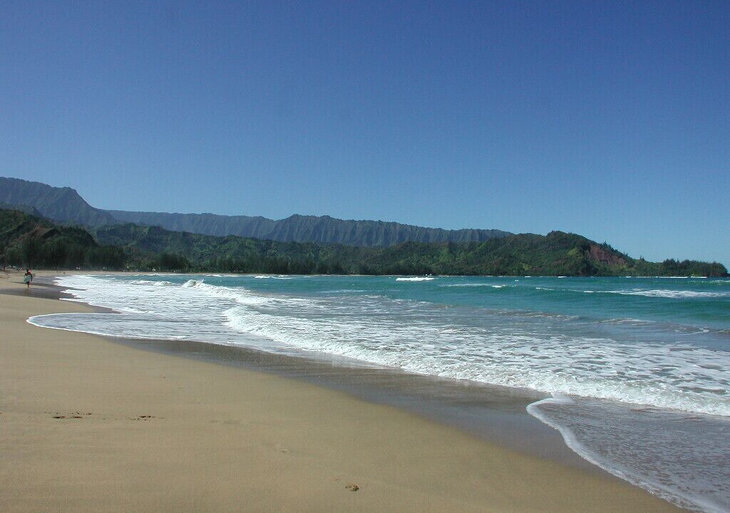 Photo of Others in Hanalei Palms