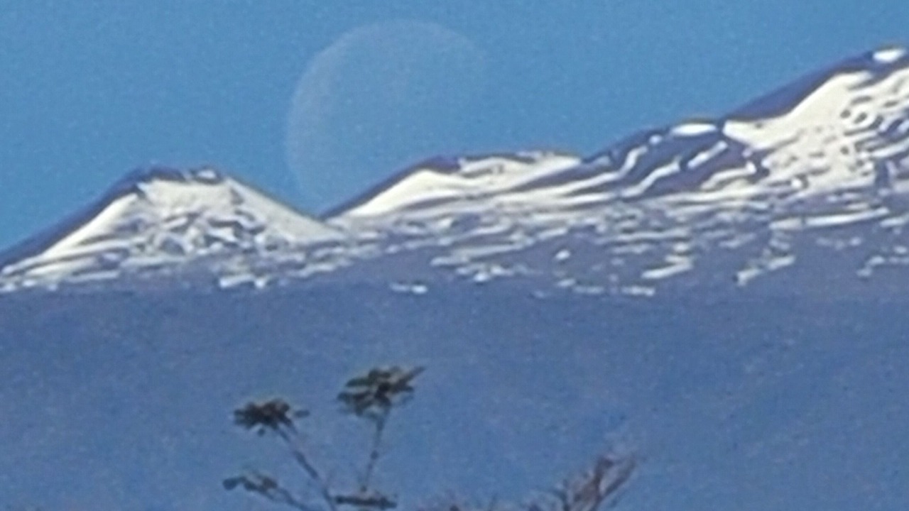 Photo of Others in Papaikou