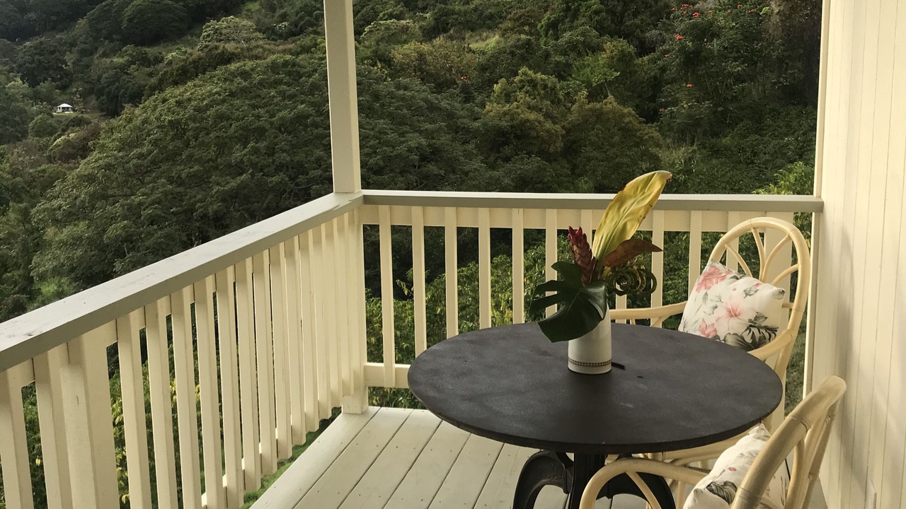 Photo of Others in Captain Cook