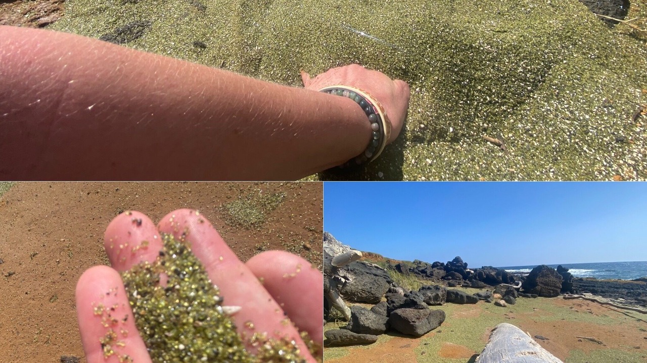 Photo of Outdoor in Ocean View