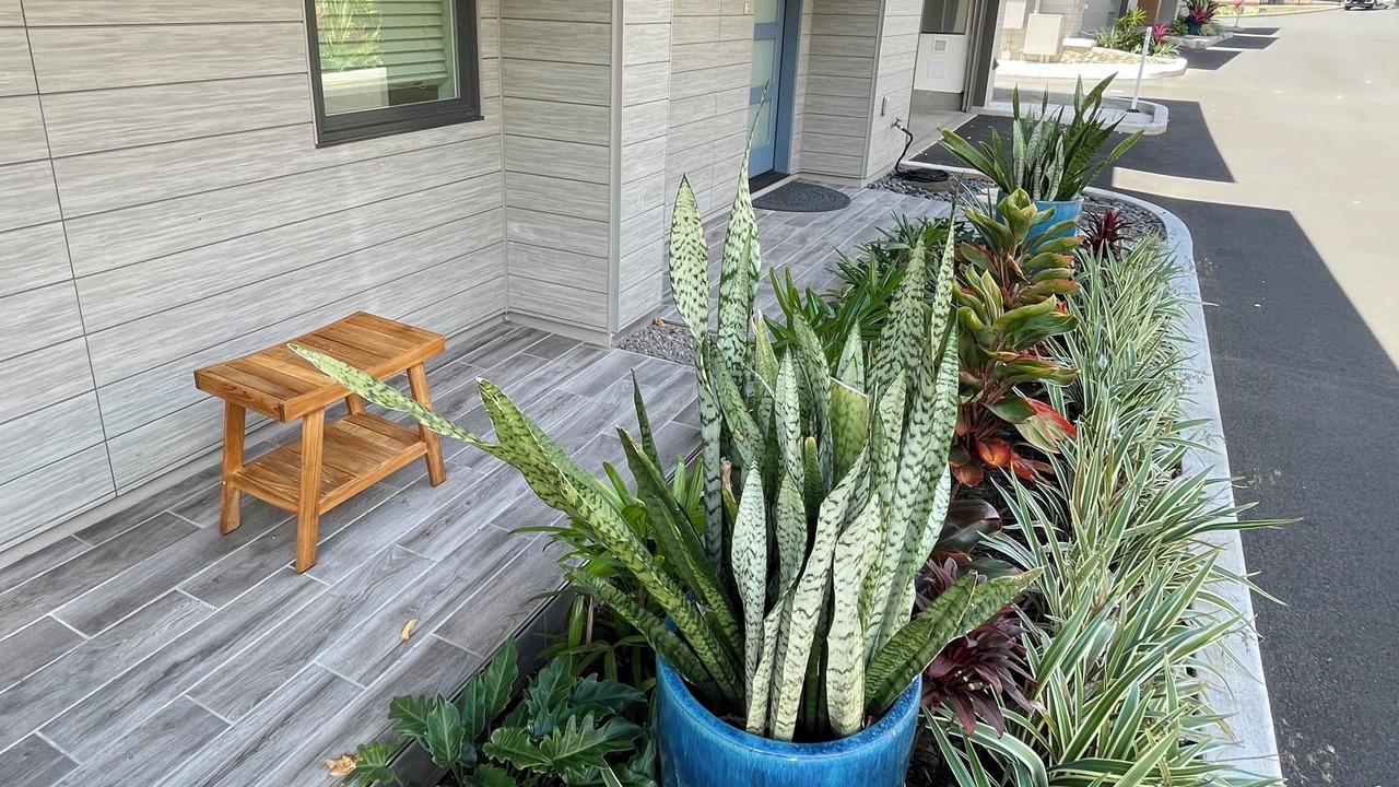 Photo of Outdoor in Moanalua