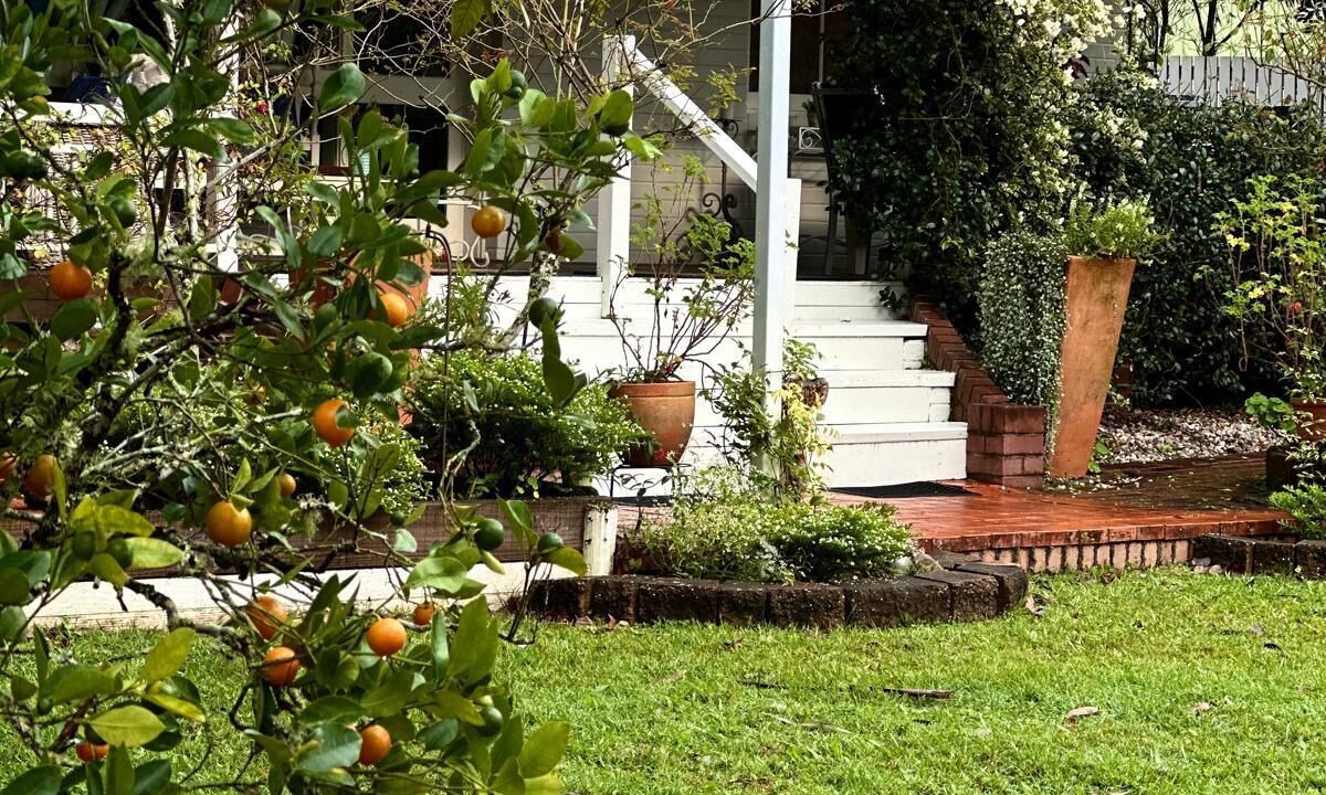 Photo of Outdoor in Tyalgum
