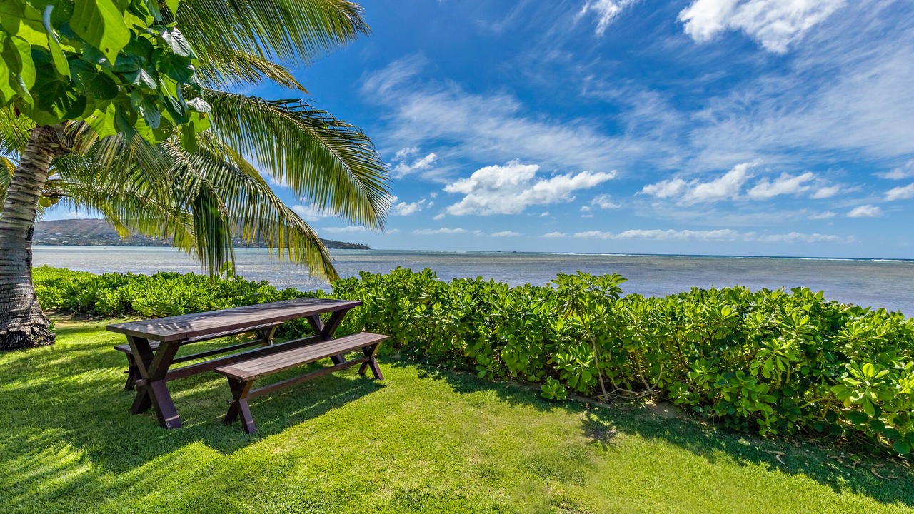Photo of Outdoor in Eastern Honolulu