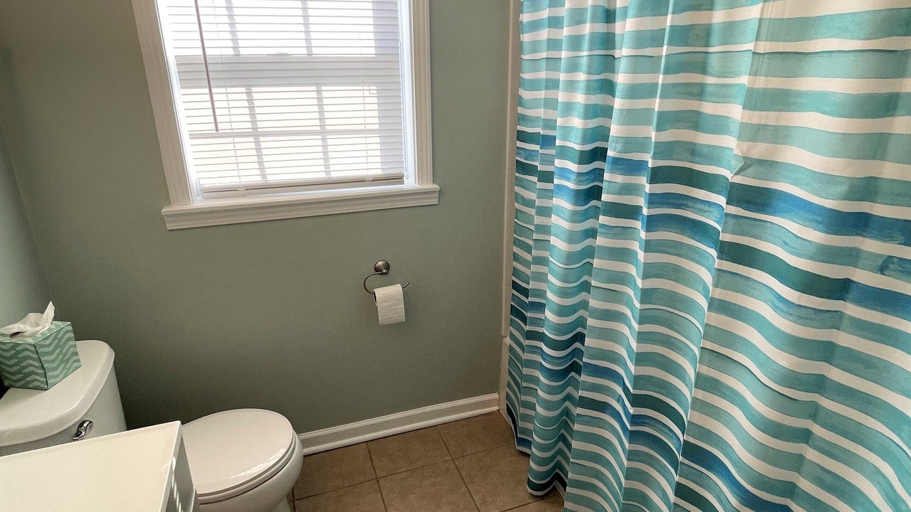 Photo of Bathroom in Buckeye Lake