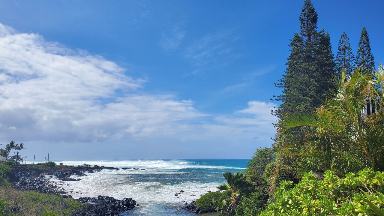 Photo of Others in Poipu