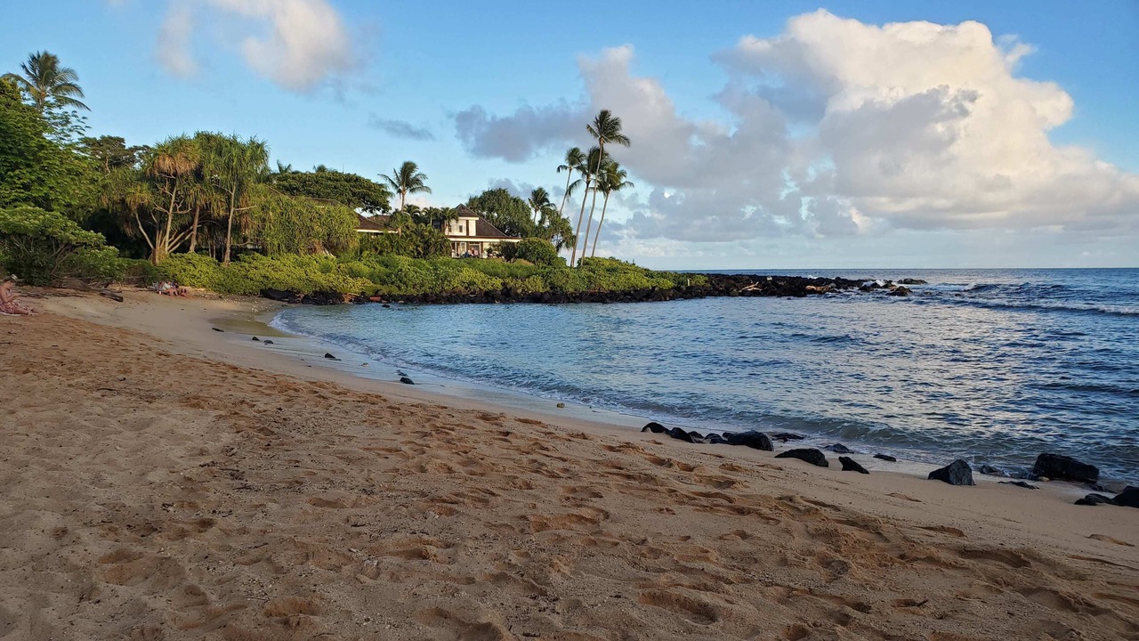 Photo of Others in Poipu