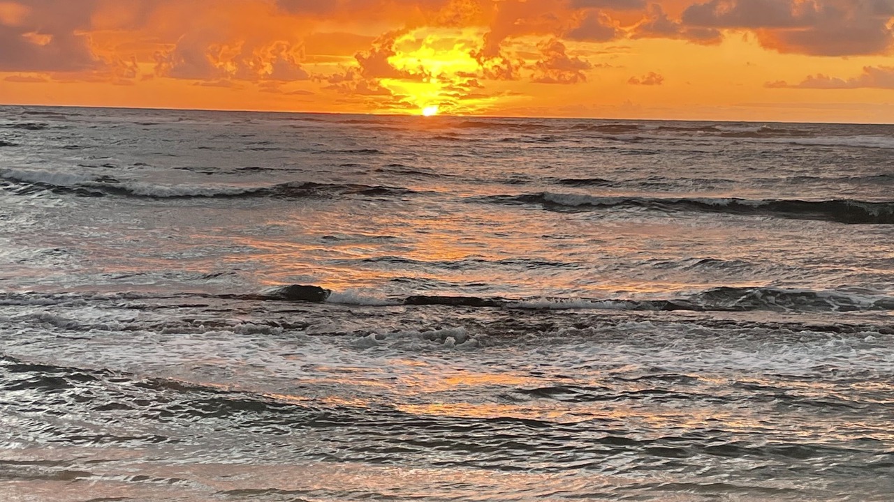 Photo of Others in Wailua