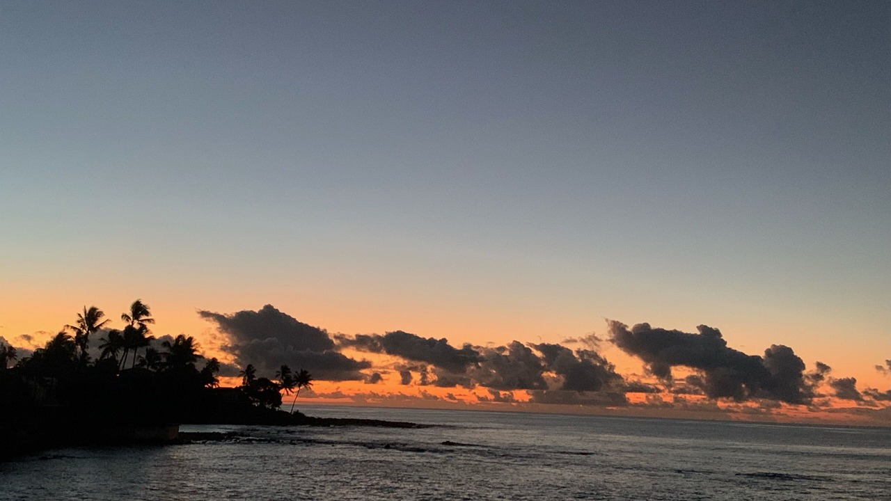 Photo of Others in Poipu