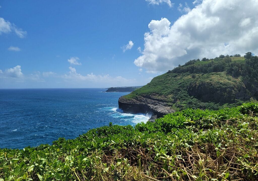 Photo of Outdoor in Poipu