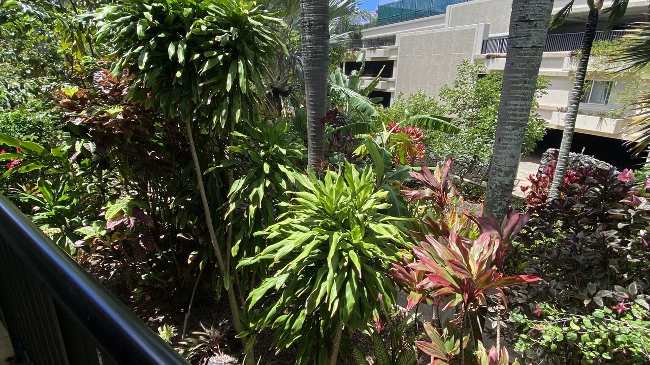 Photo of Outdoor in Poipu