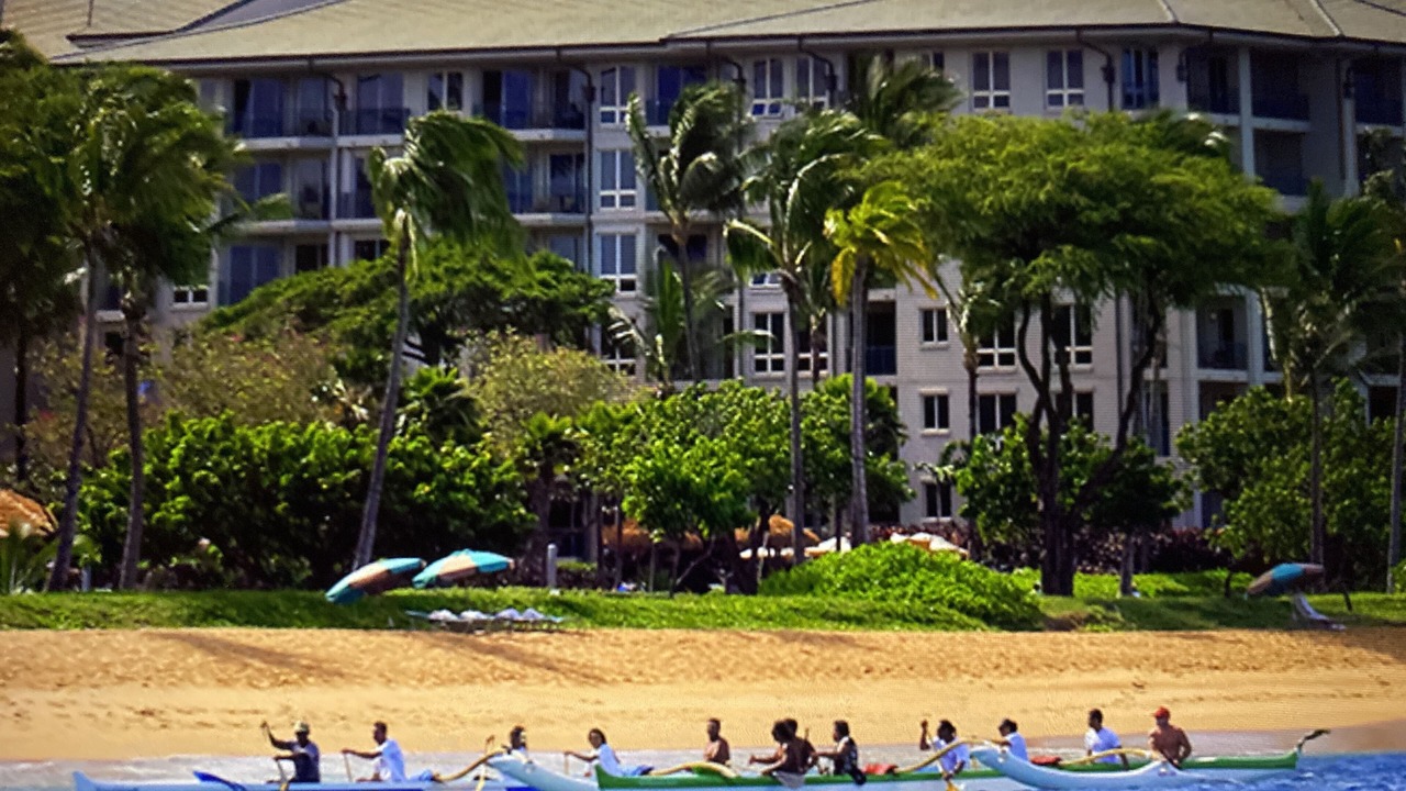 Photo of Others in Kaanapali