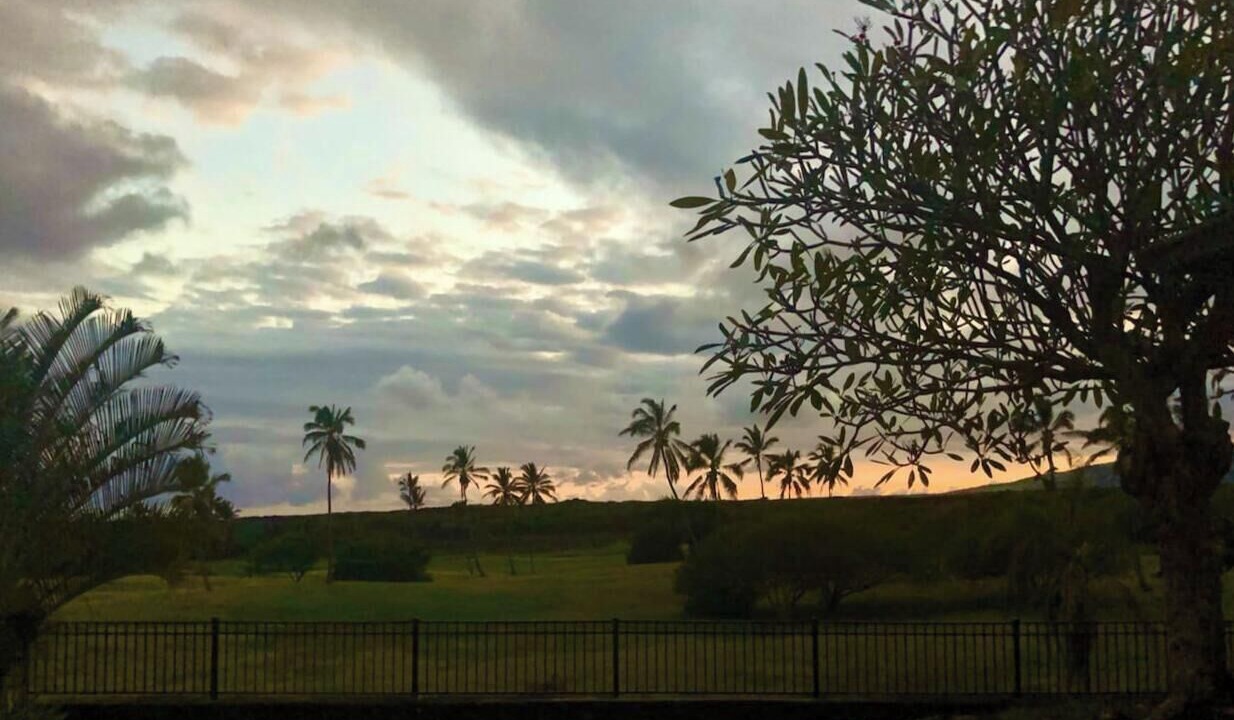 Photo of Outdoor in Punaluu
