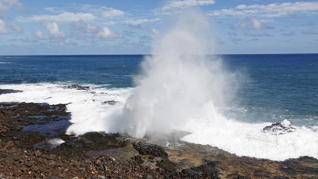 Photo of Others in Poipu