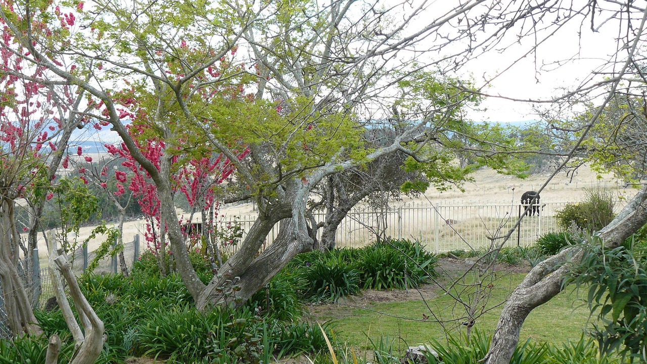 Photo of Outdoor in Tenterfield