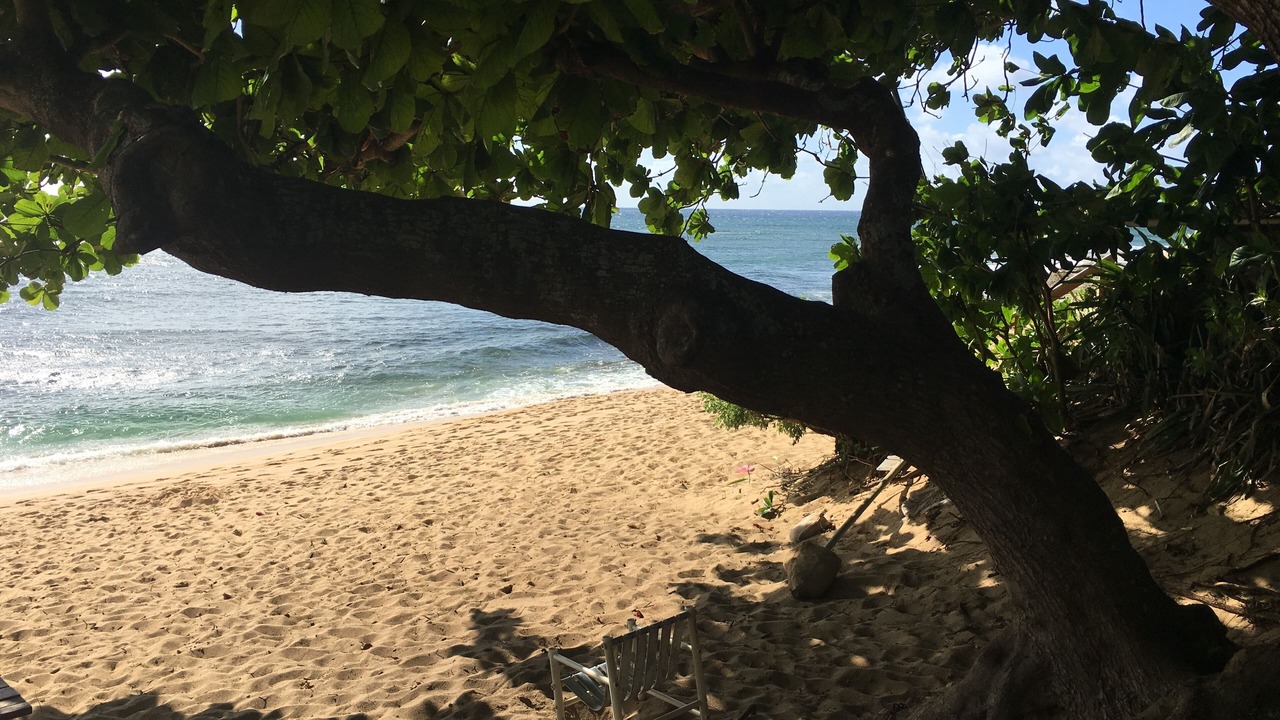 Photo of Others in Pupukea