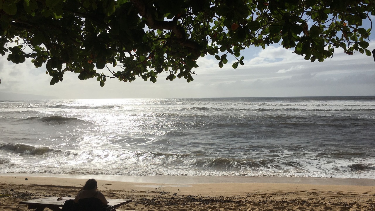 Photo of Others in Pupukea