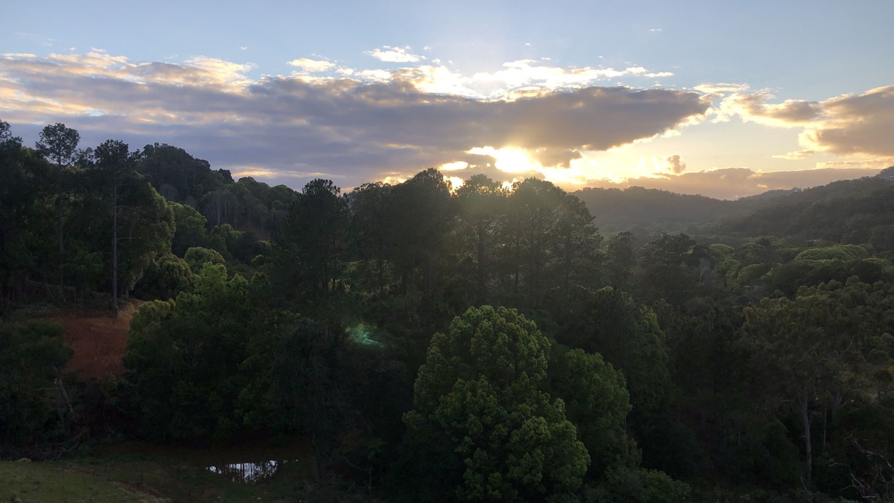 Photo of Outdoor in Currumbin Valley