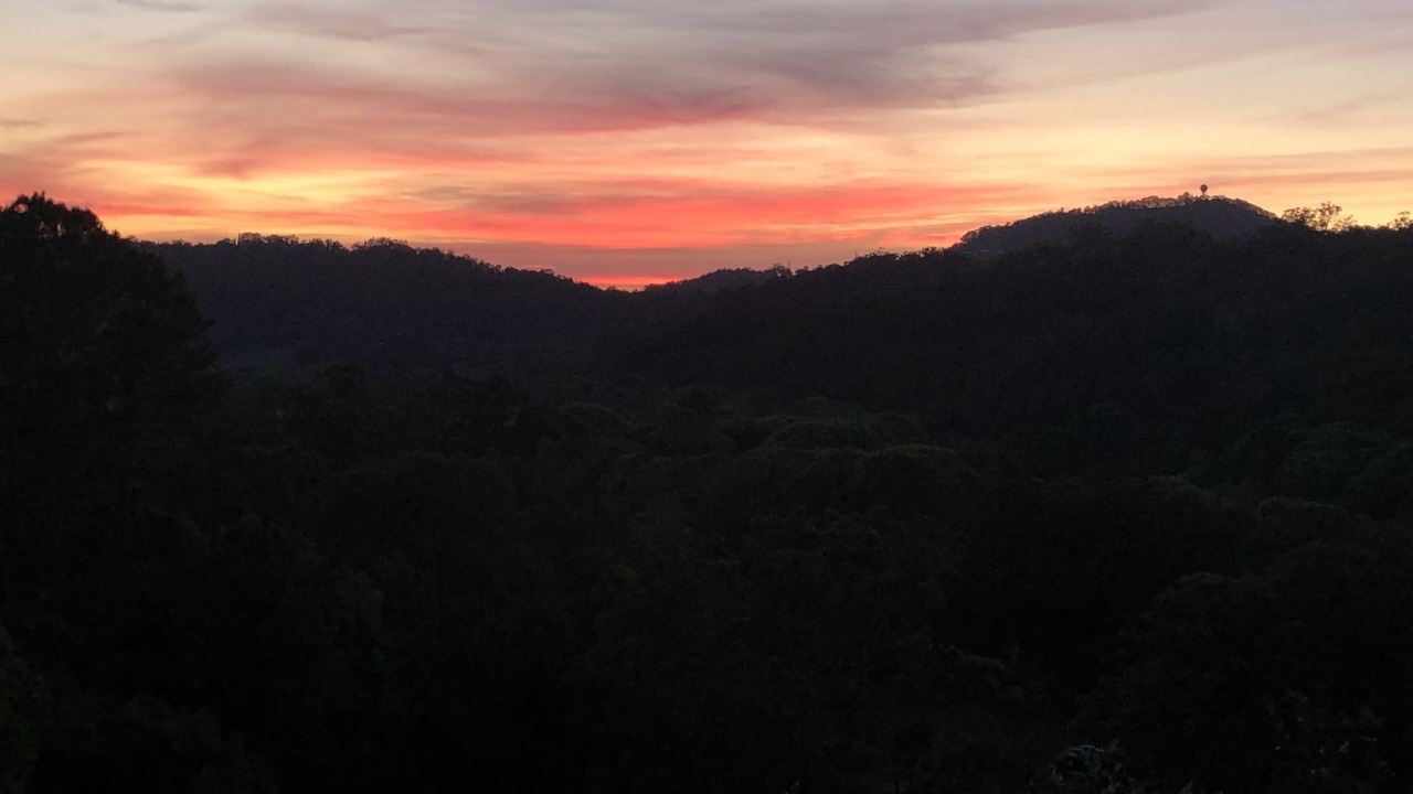 Photo of Others in Currumbin Valley