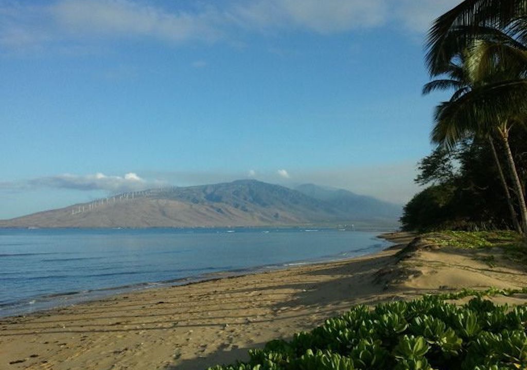 Photo of Others in Kihei