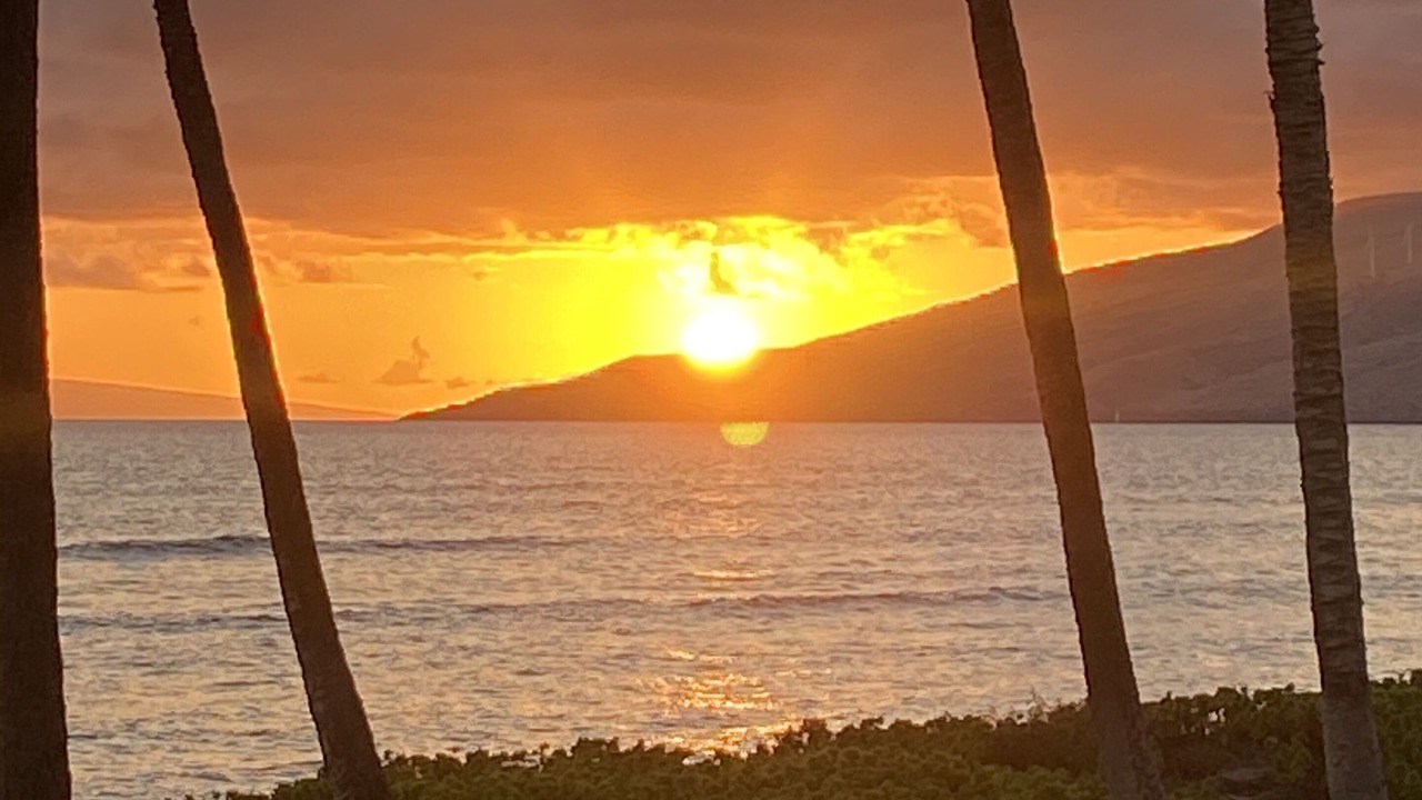 Photo of Others in Kihei