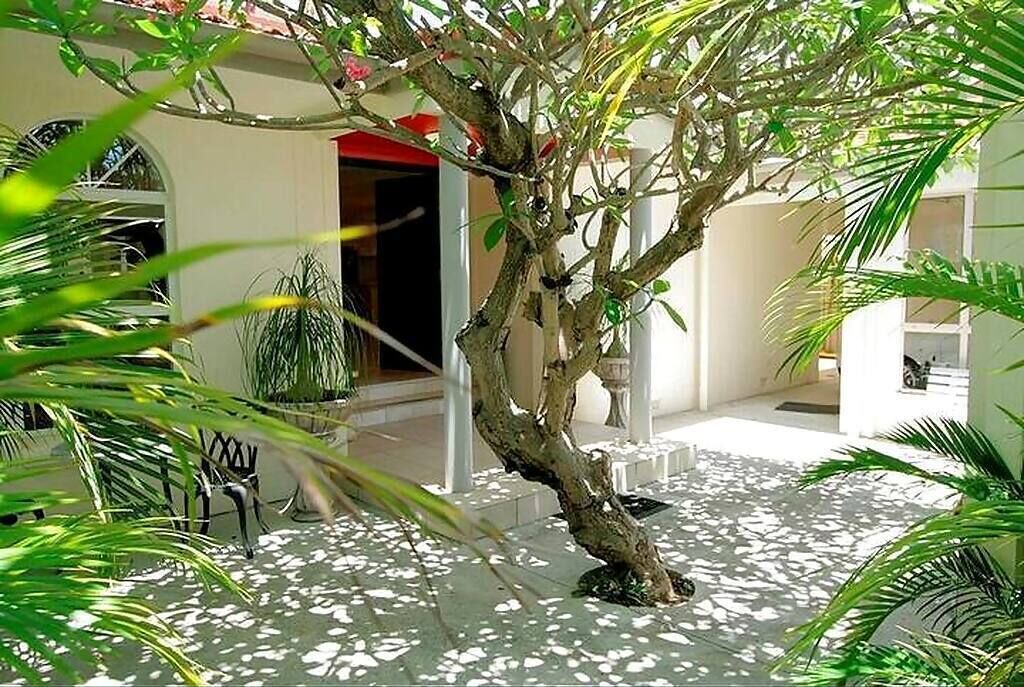 Photo of Outdoor in Surfers Paradise
