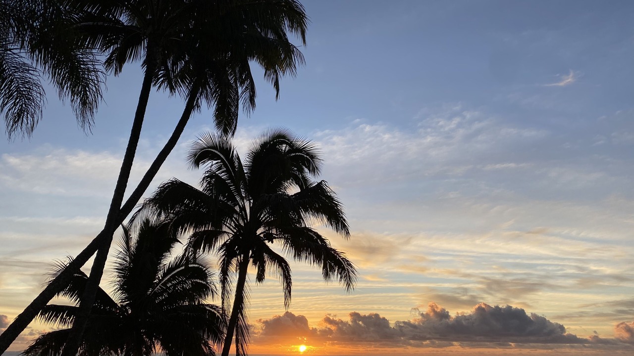 Photo of Others in Hilo