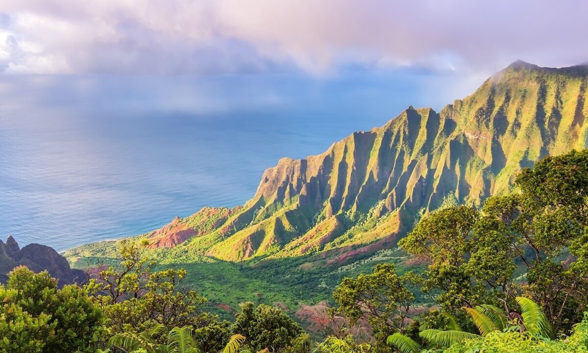 Photo of Others in Poipu
