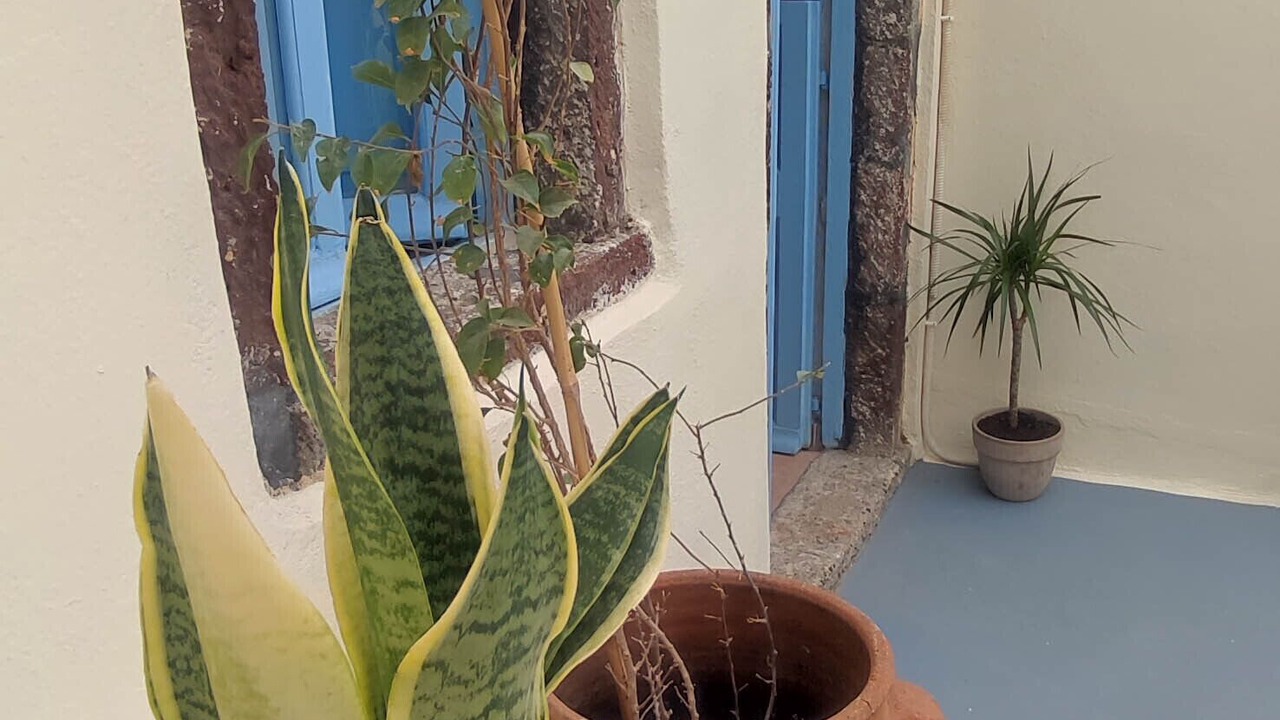 Photo of Outdoor in Finikia