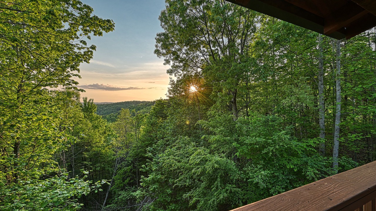 Photo of Others in Townsend