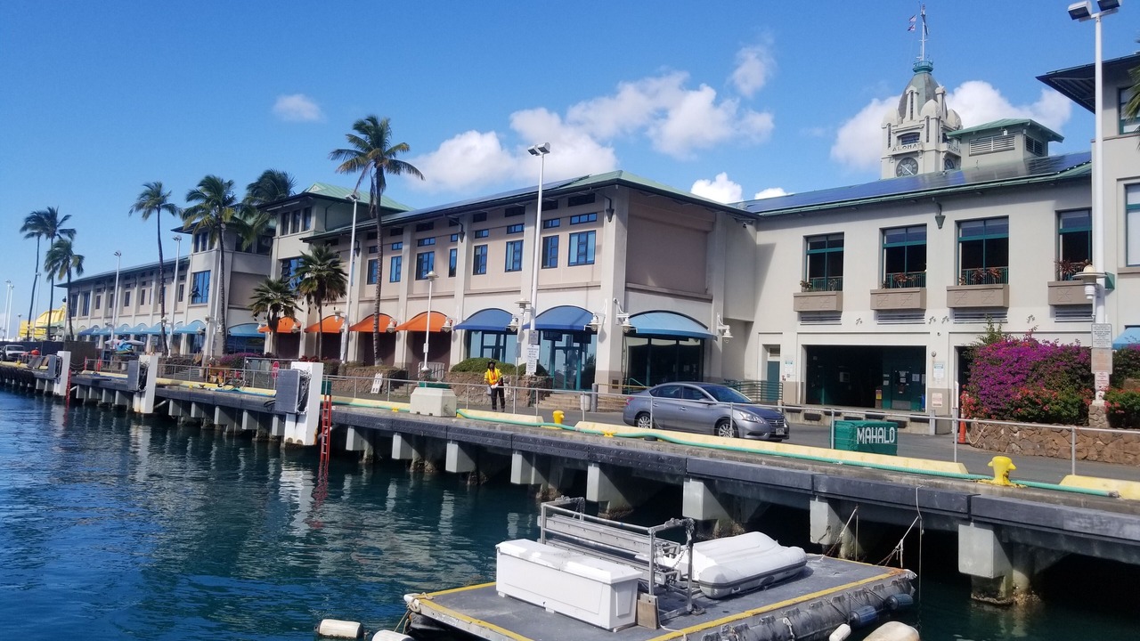 Photo of Others in Downtown Honolulu